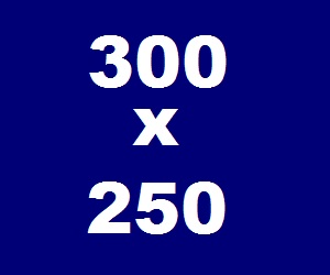 300X250