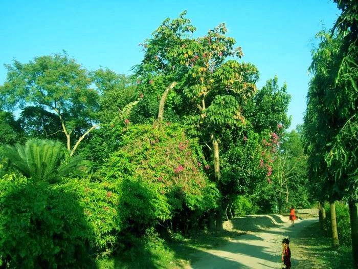 Botanical garden